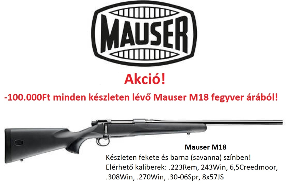Mauser-100
